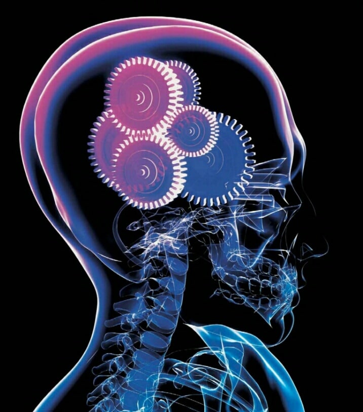 KNOWING ITSELF – UNDERSTAND THE BRAIN


IT’S NOT MUCH to look at. Hippocrates , the Greek healer identified with the birth of medicine more than 2,000 years ago, thought it was made of moist phlegm. English philosopher Henry More, writing in the 1600s, compared it to bone marrow, a bowl of curds, or a cake of suet. Modern day neurologist Richard Restaksays it resembles nothing so much as a large, wrinkly, squishy walnut. Looks can be deceiving.