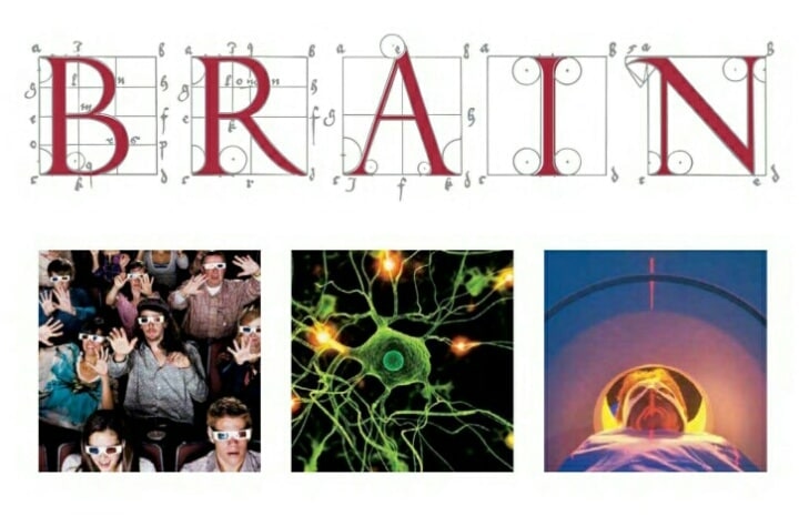 THE ANCIENT BRAIN - THE AMAZING BRAIN - KNOWING ITSELF 