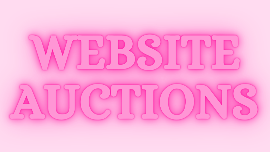 Website Auctions ( Website Sale Or Buy ) - Types, Benefits and Process